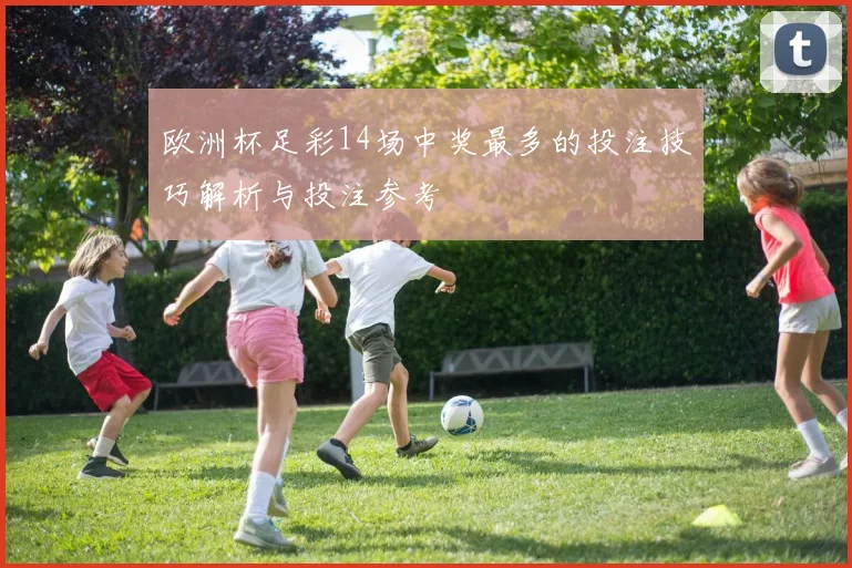 欧洲杯足彩14场中奖最多的投注技巧解析与投注参考