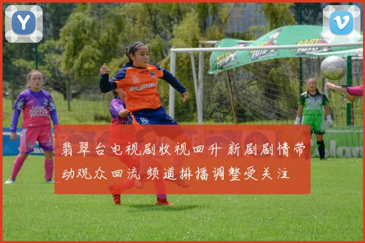 翡翠台电视剧收视回升 新剧剧情带动观众回流 频道排播调整受关注