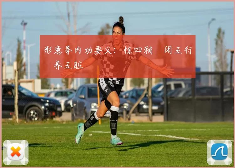 形意拳内功要义：惊四稍・闭五行・养五脏