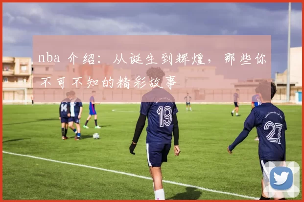 nba 介绍：从诞生到辉煌，那些你不可不知的精彩故事