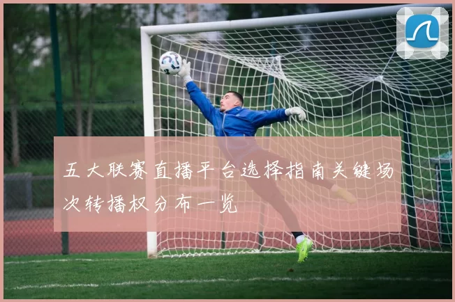 五大联赛直播平台选择指南关键场次转播权分布一览