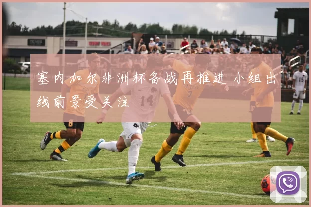 塞内加尔非洲杯备战再推进 小组出线前景受关注