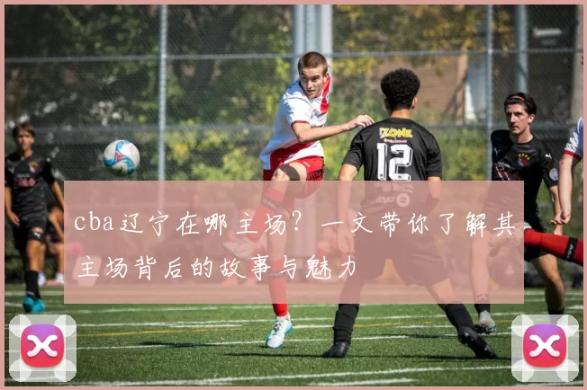 cba辽宁在哪主场?一文带你了解其主场背后的故事与魅力